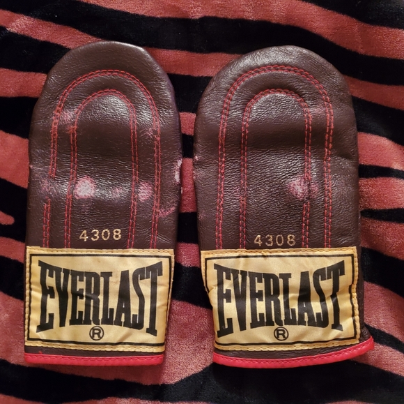 everlast 4308